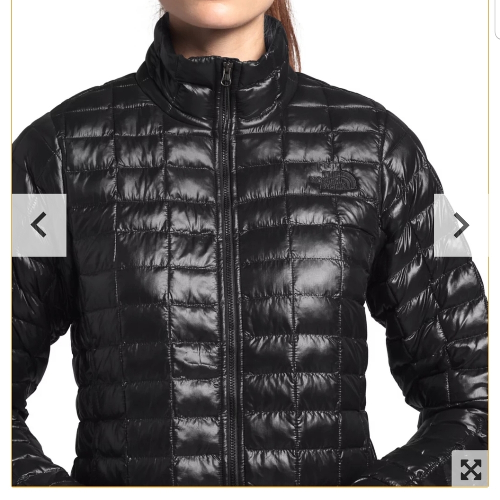 The north face bubble jacket.